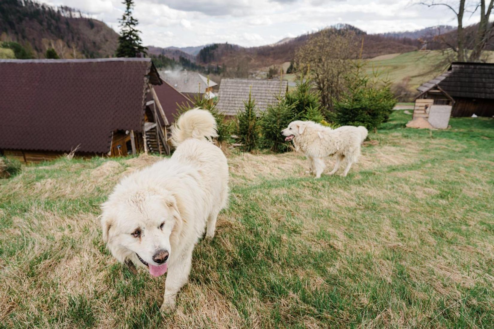 Penzion Zbojnicky Halas Tisovec Exteriér fotografie