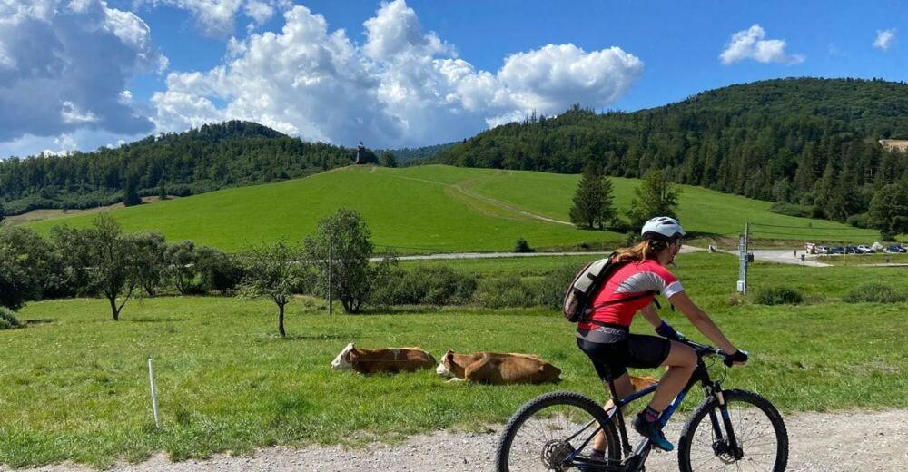 Penzion Zbojnicky Halas Tisovec Exteriér fotografie