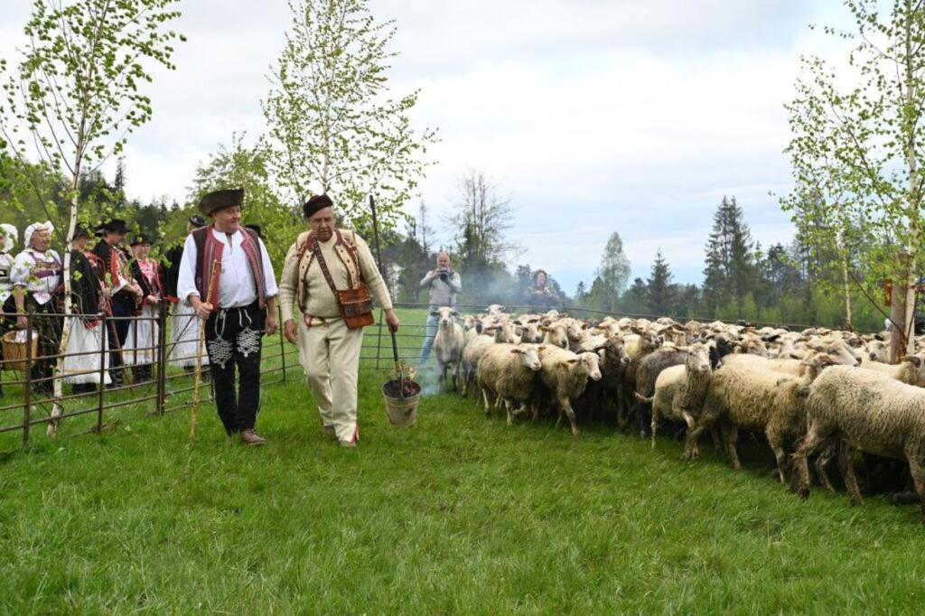 Penzion Zbojnicky Halas Tisovec Exteriér fotografie
